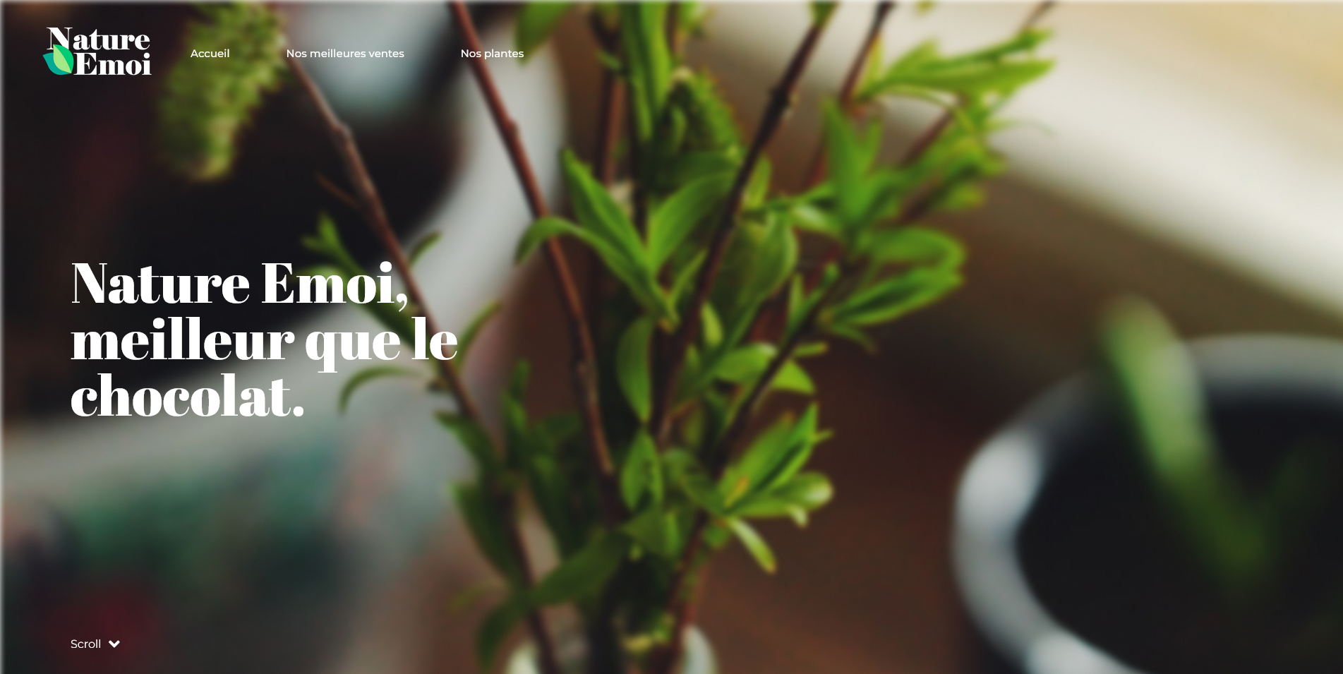 Image du site de nature&moi